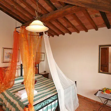Pelagaccio